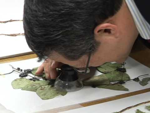 울릉도독도연구소(경북대학교)